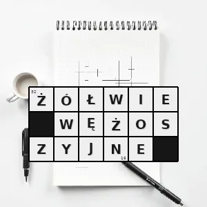 Rozwiązanie krzyżówki: żółwie wężoszyje - żółwie wężoszyjne | hasła, synonimy i podpowiedzi Hasło krzyżówkowe żółwie wężoszyje - żółwie wężoszyjne – rozwiązanie, synonimy, podpowiedzi i definicje krzyżówkowe